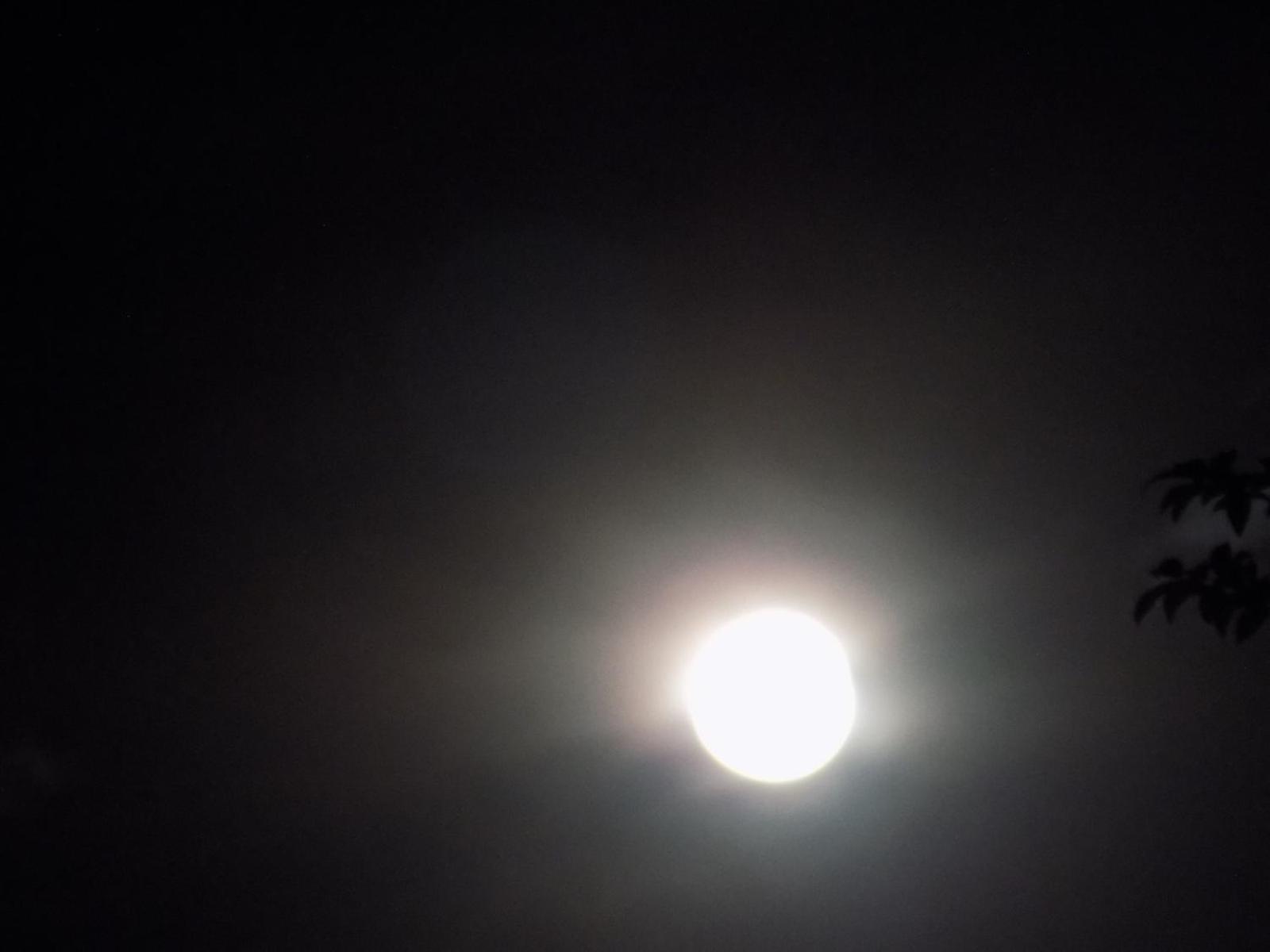 Pousada Fenix Pirenópolis Zewnętrze zdjęcie
