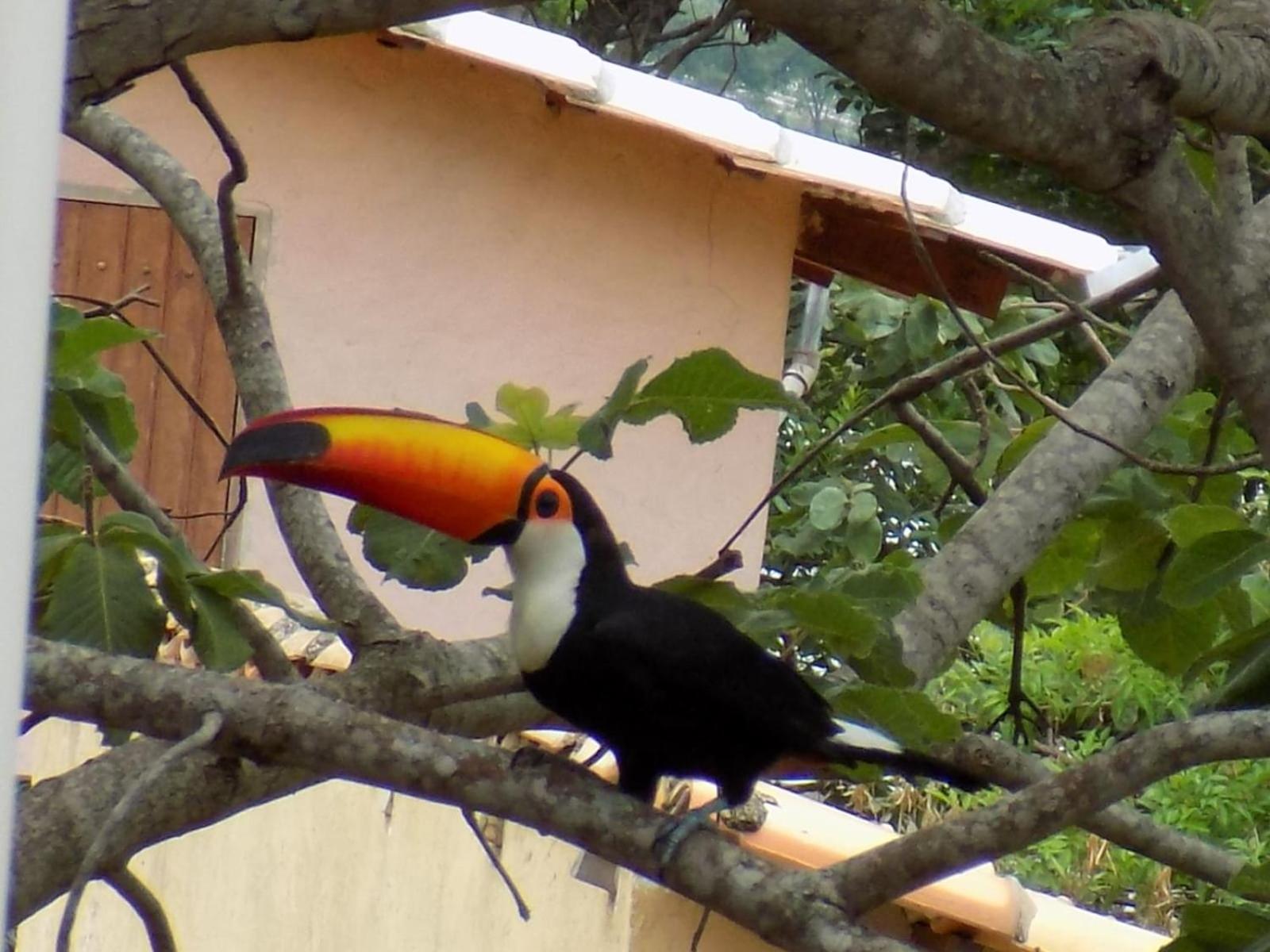 Pousada Fenix Pirenópolis Zewnętrze zdjęcie